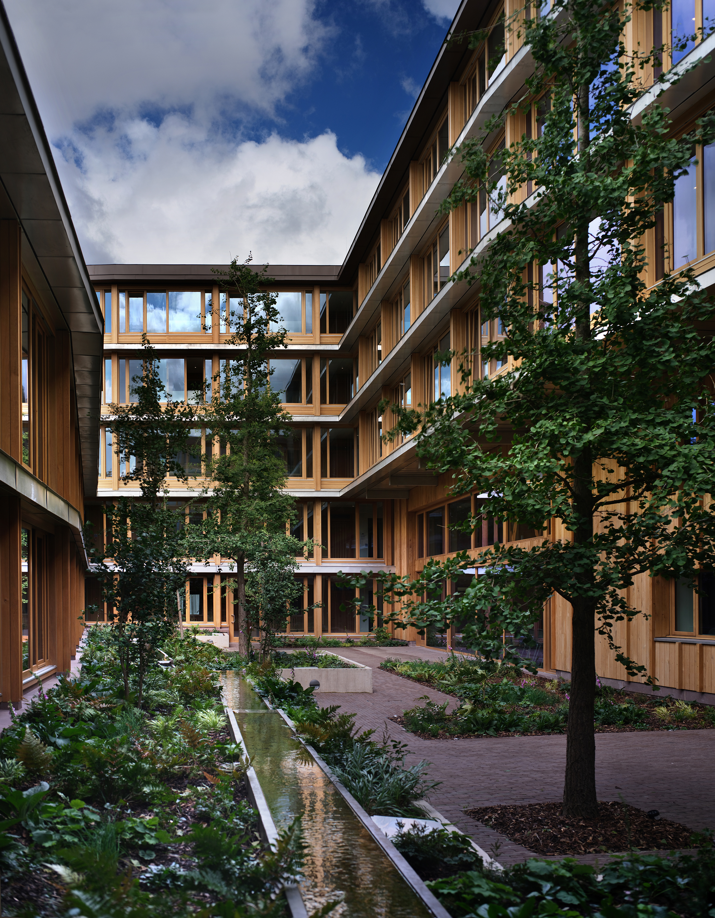 Surrounded by trees stands a building featuring wood and glass