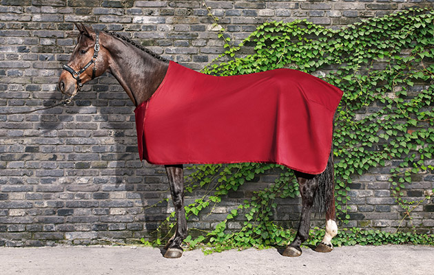 Equiline