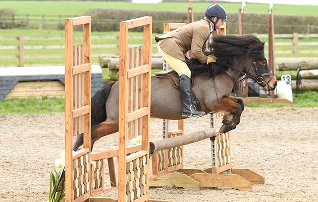Pamela Brown and BIRCHMOOR DROVER