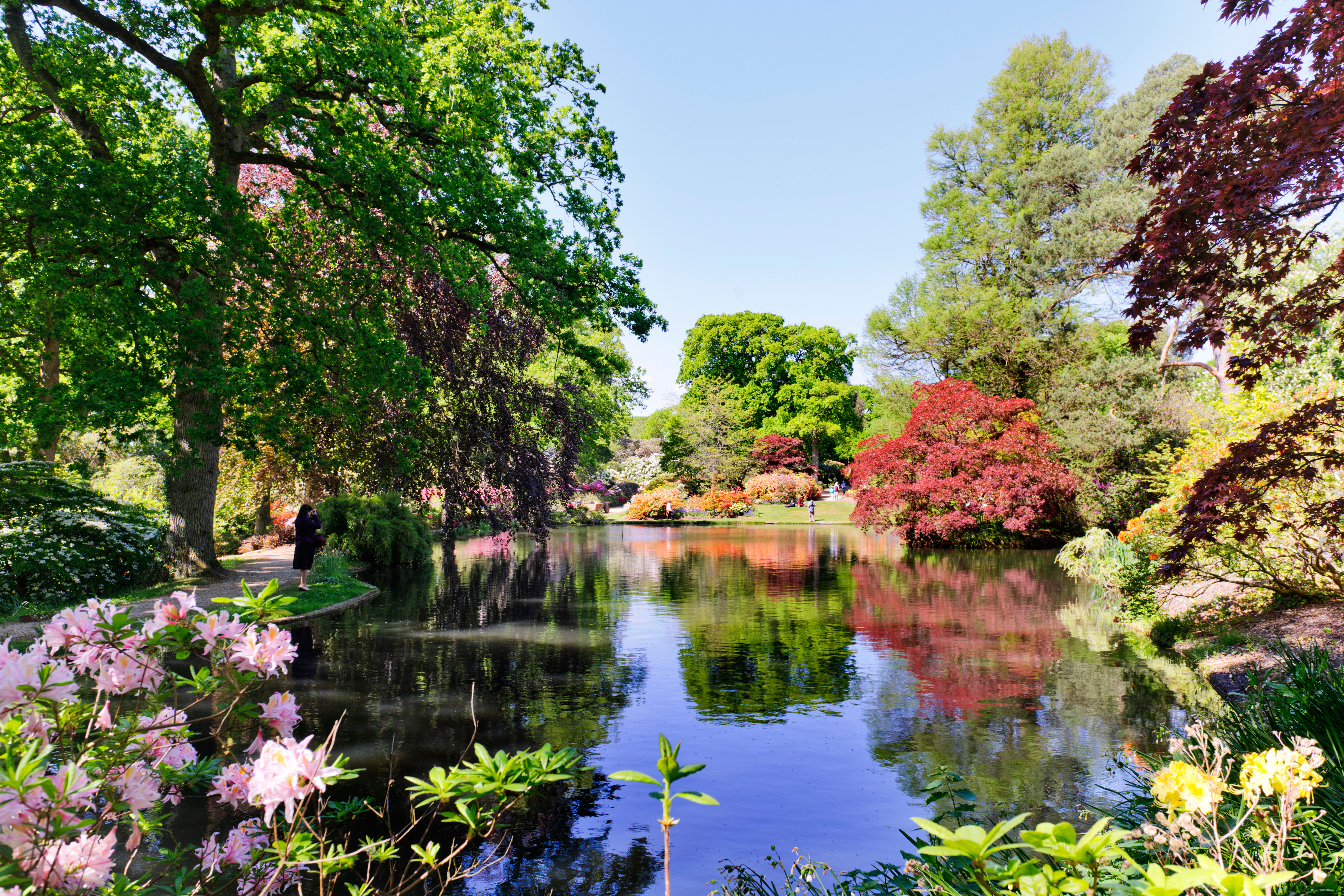 Exbury Gardens, Hampshire. Credit: Alamy