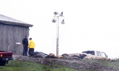 A slew of dead animals are seen on Terry Thompson&amp;#039;s property