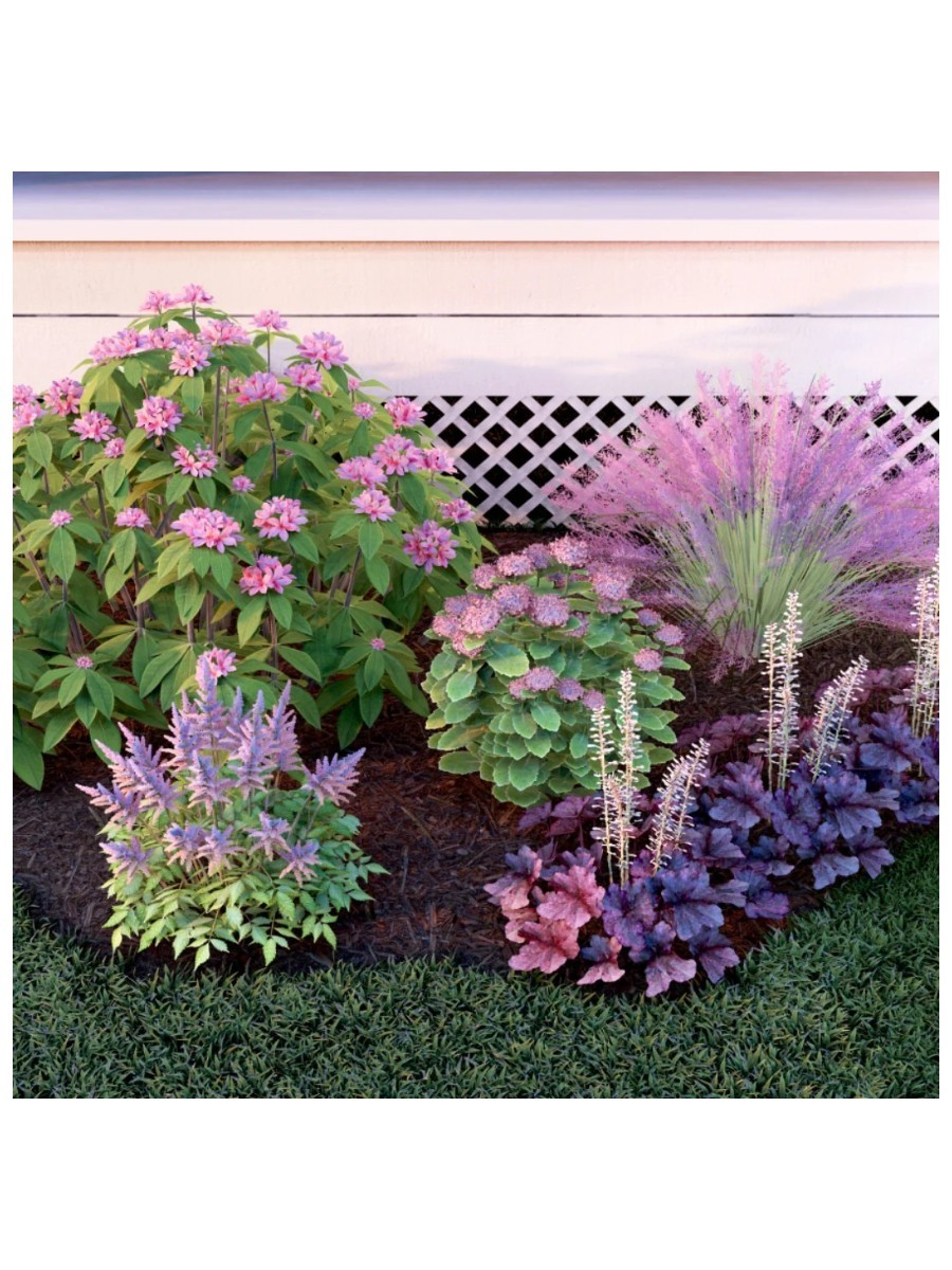 Plant By Number, Small Pollinator Garden - 5'x7'