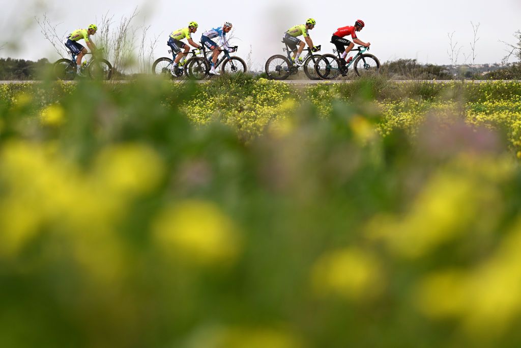 LAGOS PORTUGAL FEBRUARY 14 EDITORS NOTE Alternate crop LR Laurenz Rex of Belgium and Team Intermarche Wanty Martijn Tusveld of The Netherlands and Team dsmfirmenich PostNL Vito Braet of Belgium and Team Intermarche Wanty Martin Tjotta of Norway and Team Arkea BB Hotels and a general view of the peloton competing during the 50th Volta ao Algarve em Bicicleta 2024 Stage 1 a 2008km stage from Portimao to Lagos on February 14 2024 in Lagos Portugal Photo by Dario BelingheriGetty Images