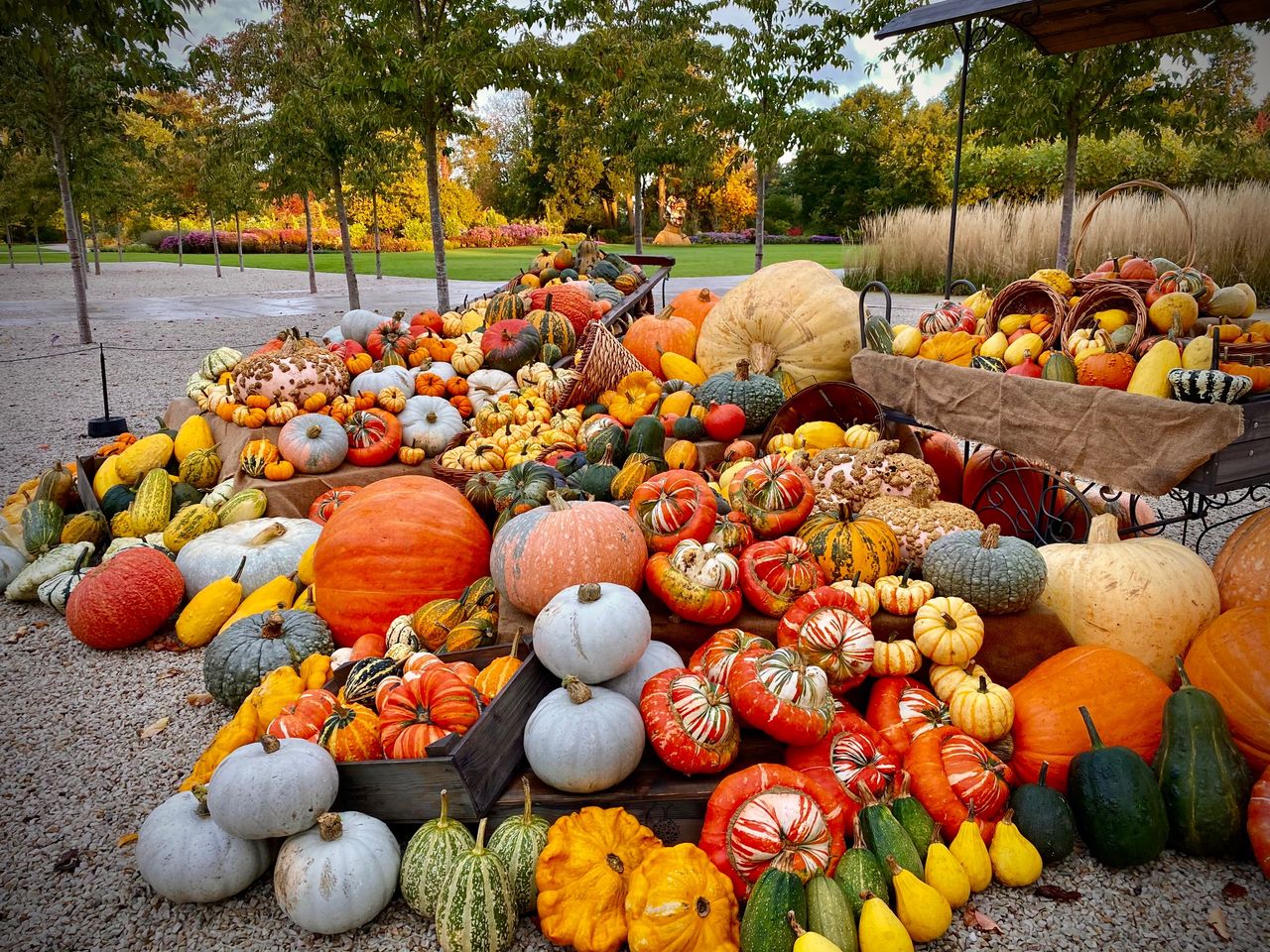 RHS Wisley&#039;s splendidly-named &#039;Curatorial Trials Team&#039; have put together a display to greet visitors to the garden this Autumn.