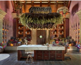 A bright purple room with wooden flooring and a wooden and marble island and statement plants hanging above, and wooden shelves with glass jars and a wooden door in the background