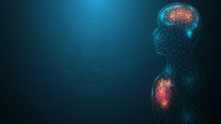 A conceptual illustration of a human body with the heart and brain highlighted
