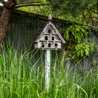 A birdfeeder in long grass by a large fence and tree