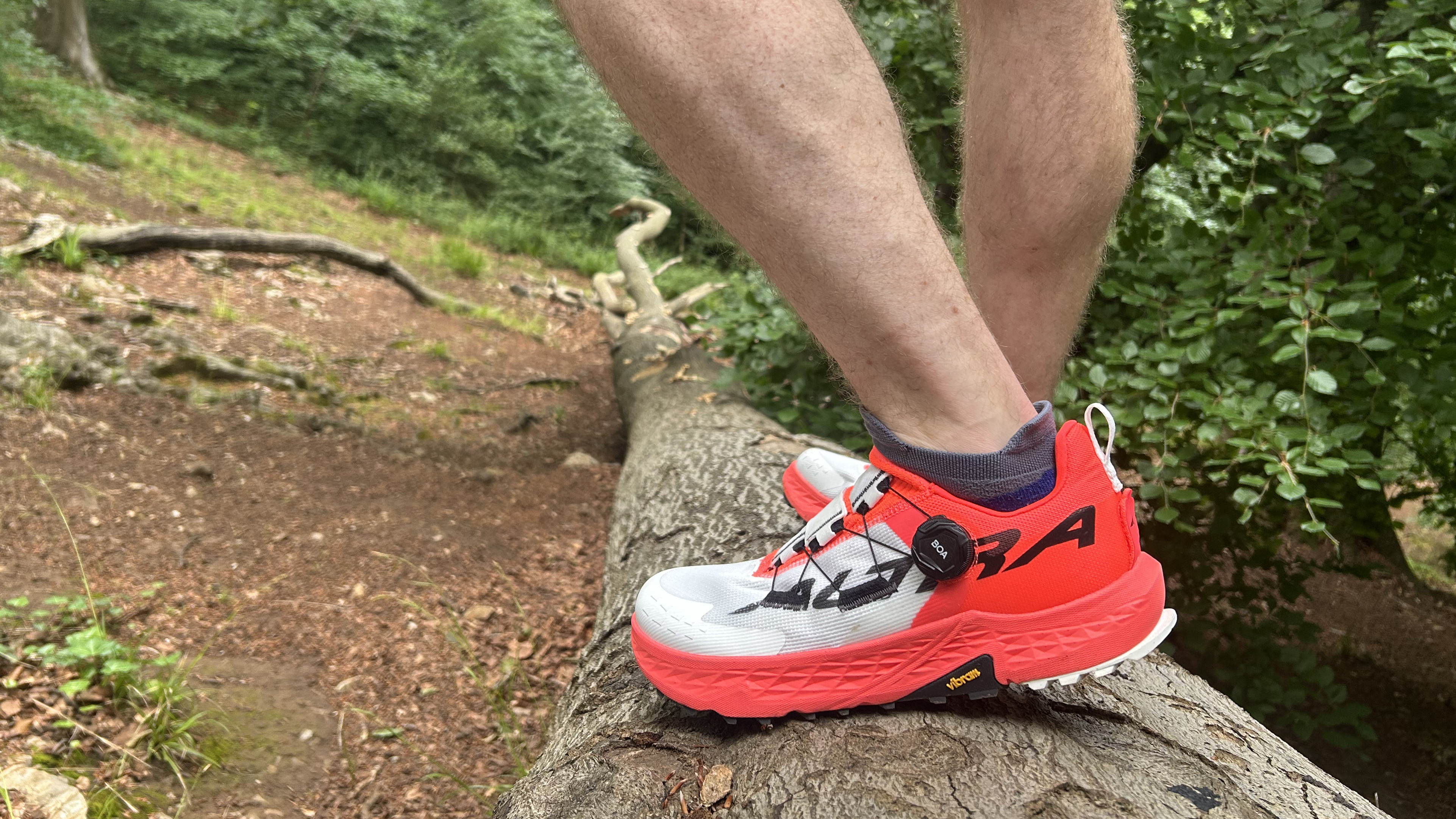Altra Timp 5 BOAs on a log