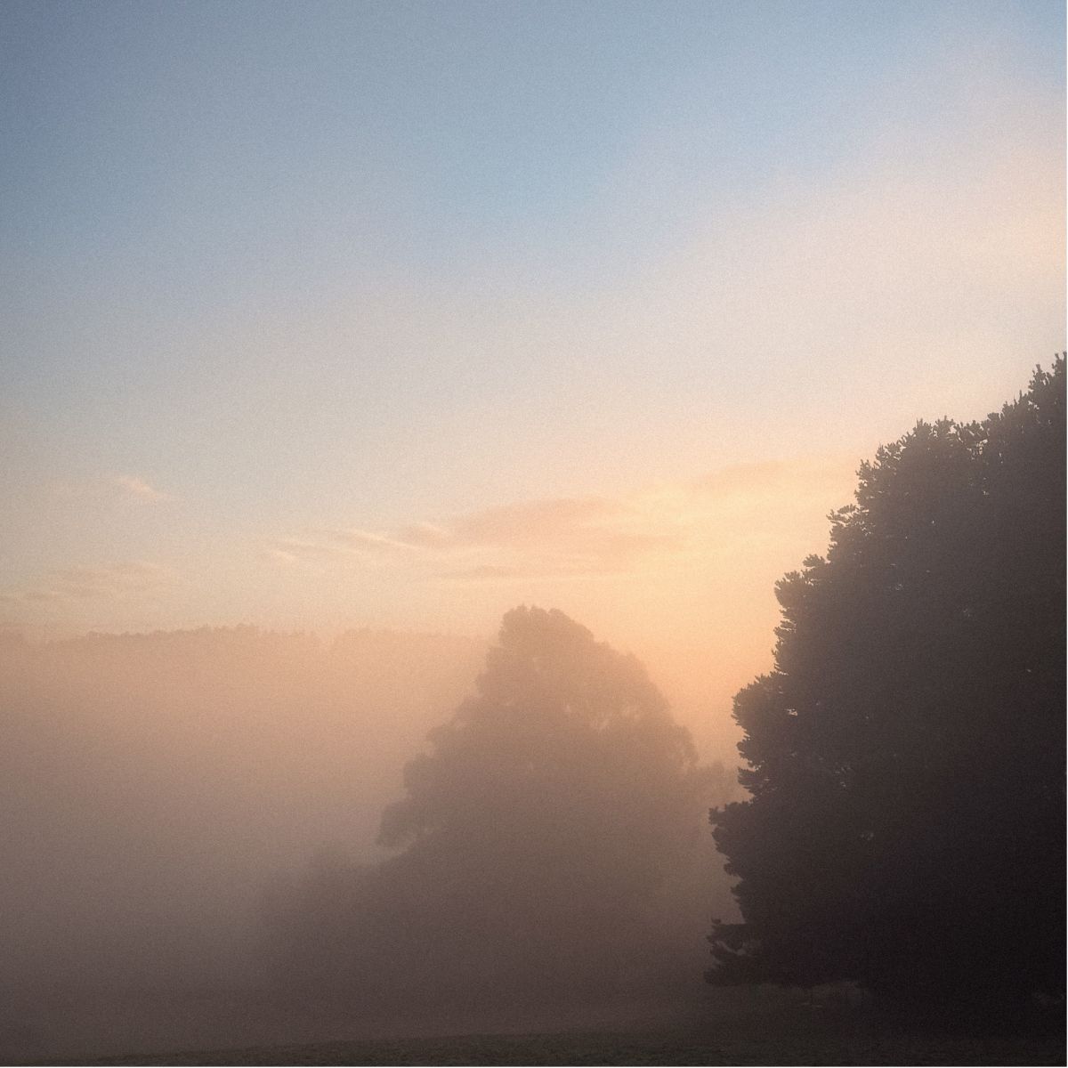 A foggy sunrise, an unmade bed and a vanity with a mirror and a mug