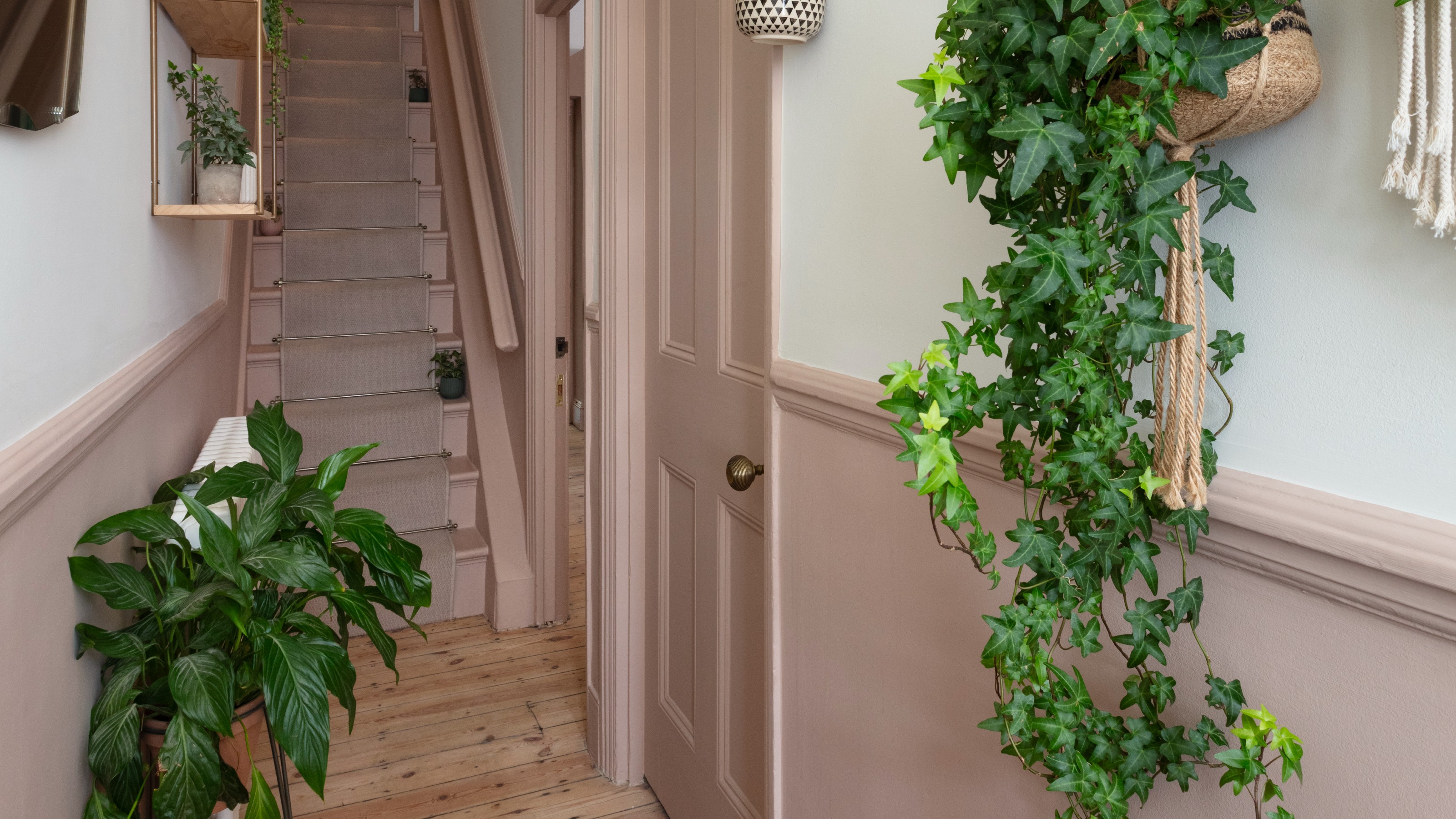 A hallway with a dado rail with the bottom half of the walls painted in pink, matching the door and stairs, and the top part in white