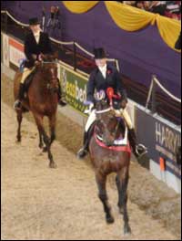 racehorse.jpg