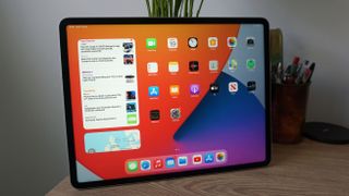 Der Startbildschirm des iPad Pro 12.9 2021, welches an einer Pflanze lehnt