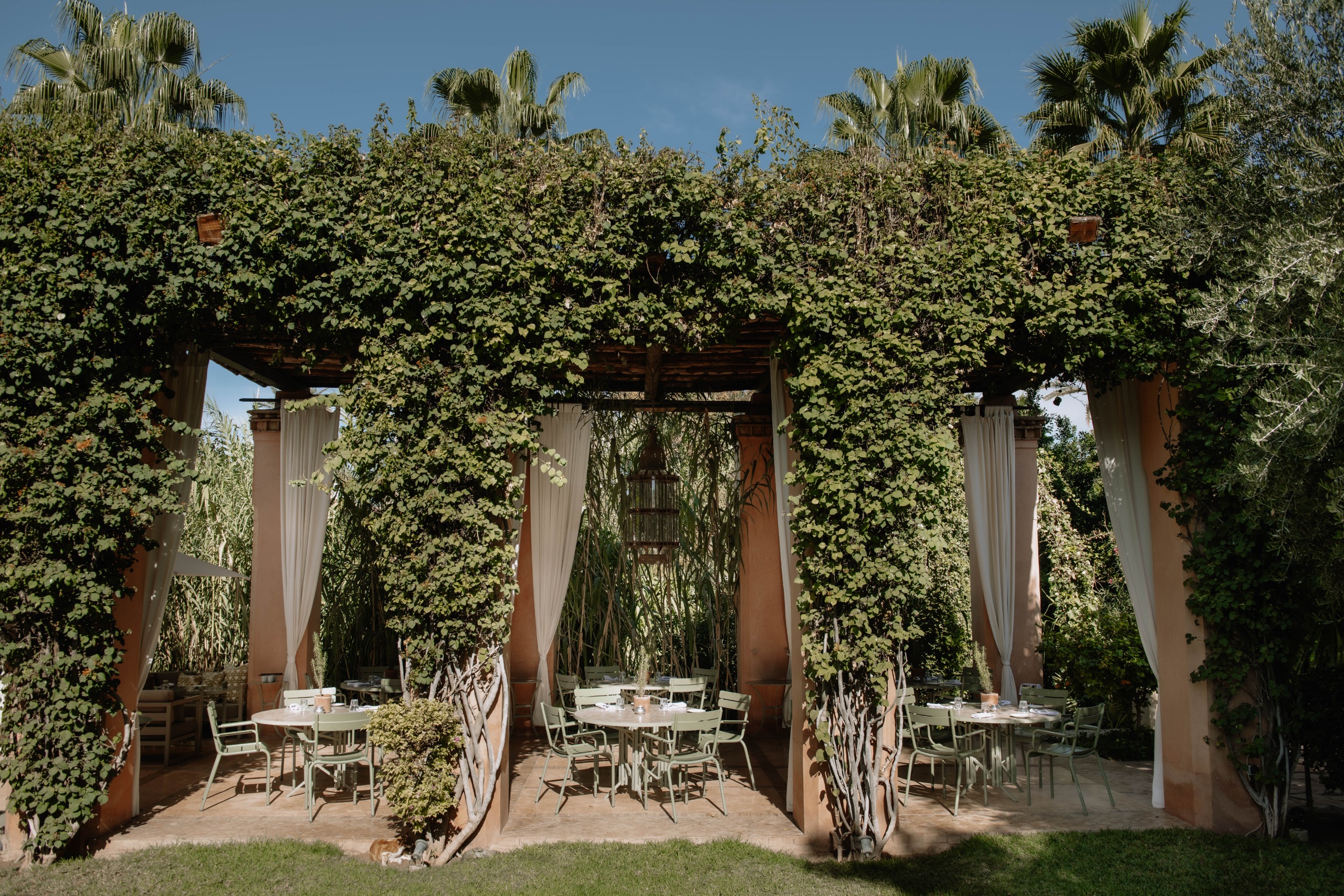 A leafy restaurant terrace covered in a canopy of ivy, with white curtains and pale green outdoor furniture.