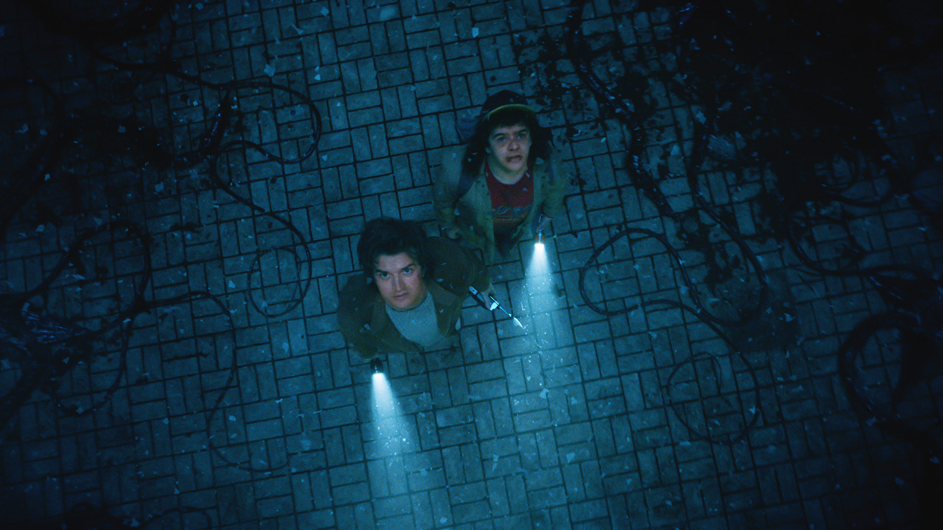 Steve and Dustin looking up in a building that the Upside Down has infected in Stranger Things season 5