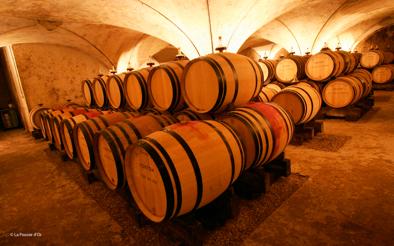 Domaine de la Pousse d'Or cellar