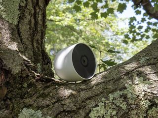 Nest Cam 2021 Battery In Tree