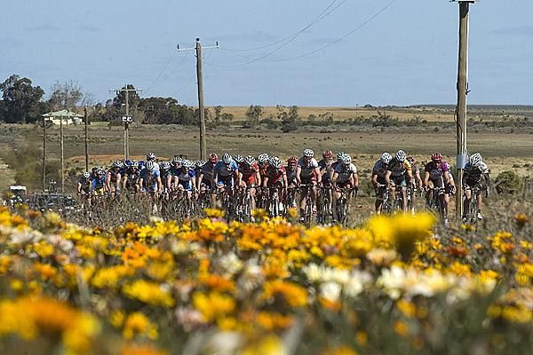The peloton stroll through the flat lands around Merbein and were in no hurry to bring back the lead group.