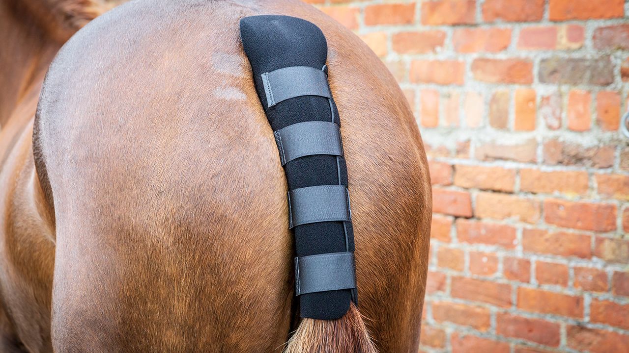 Woof Wear tail guard review