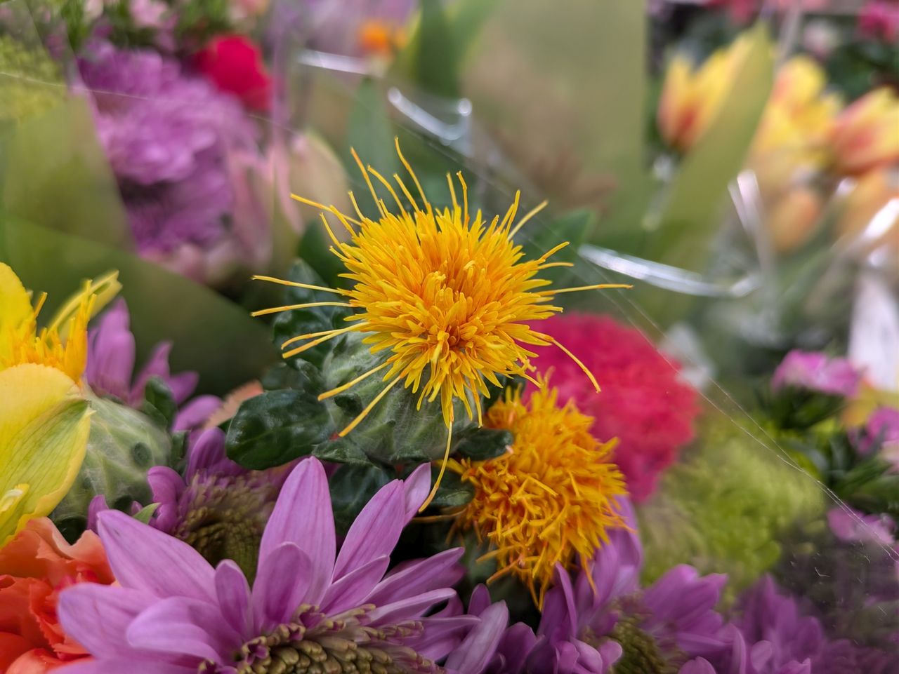 Google Pixel 8a macro sample.