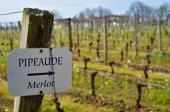 St Emilion 2018 wines