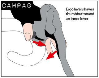 Diagram showing how Campagnolo road bike gear shifters work