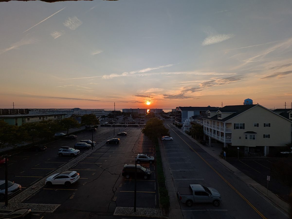 Google Pixel 9 Pro Fold camera samples