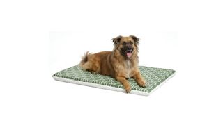 MidWest QuietTime Geo Print & Fleece Reversible Dog Crate Mat