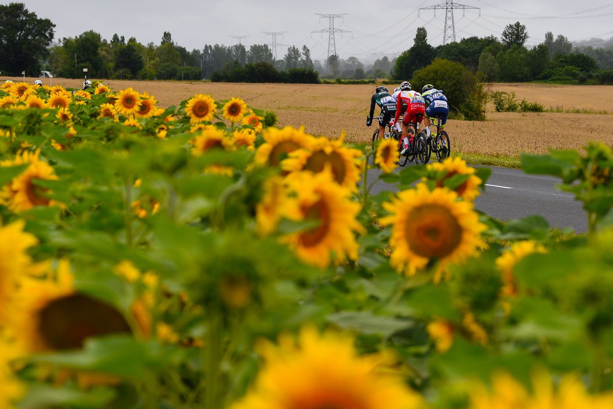 Tour de France 2021 108th Edition 17th stage Muret Col du Portet 1784 km 14072021 Scenery sunflowers photo Dario BelingheriBettiniPhoto2021