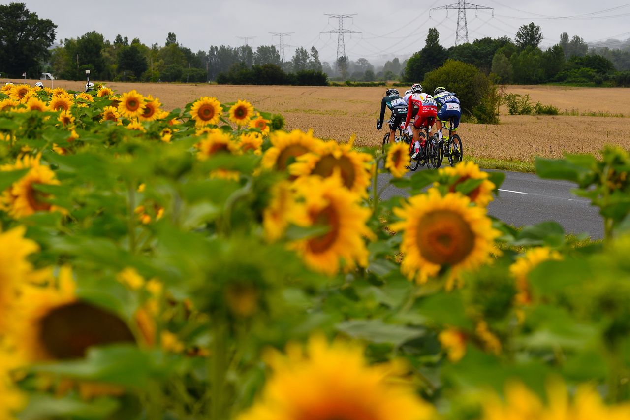 Tour de France 2021 108th Edition 17th stage Muret Col du Portet 1784 km 14072021 Scenery sunflowers photo Dario BelingheriBettiniPhoto2021