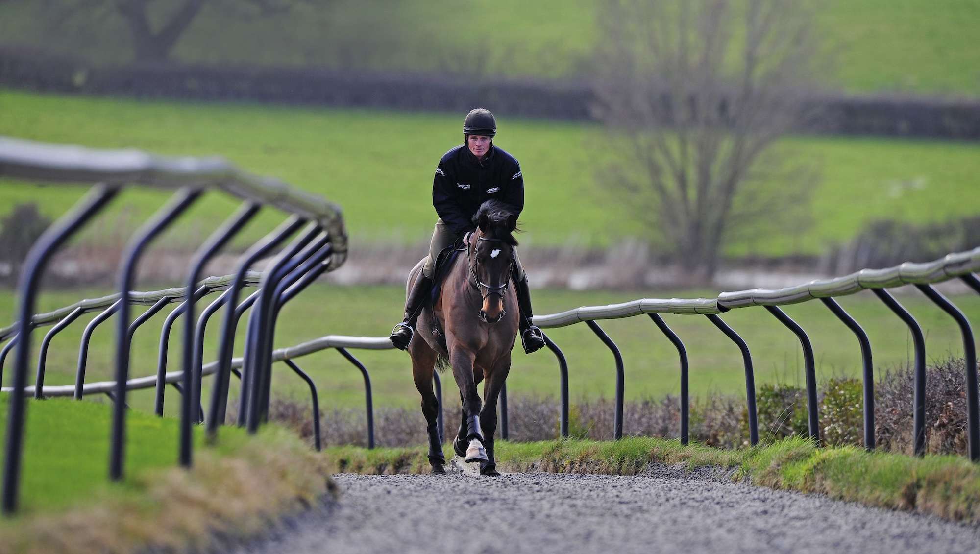 William Fox-Pitt riding fitness training on the gallops at home