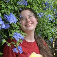 Kohava Mendelsohn's avatar
