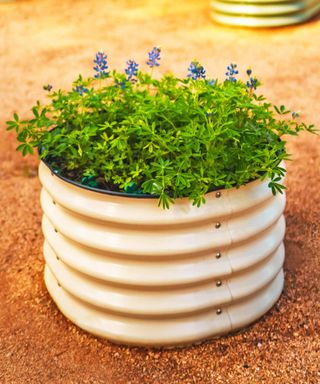 Vego Garden herb garden bed