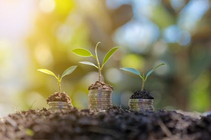 Saplings growing on top of stacks of coins