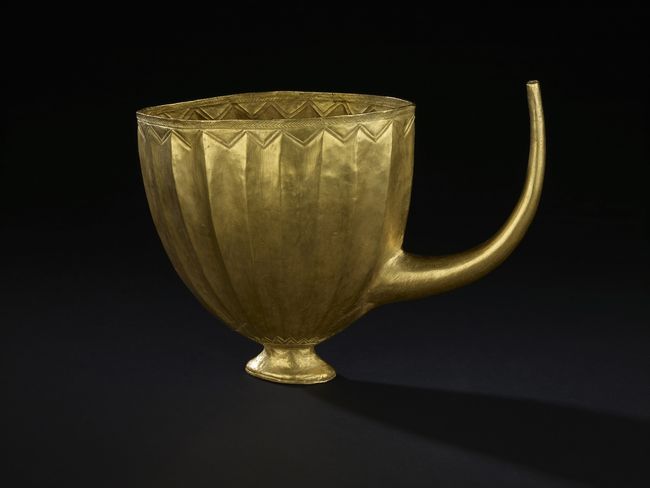 Gold Cup with Long Snout