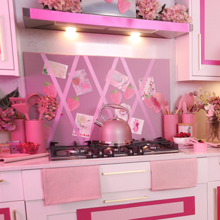 kitchen room with pink walls and pink shelves