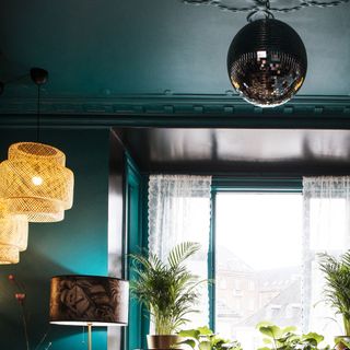 living room with blue wall window plant and designed lamp