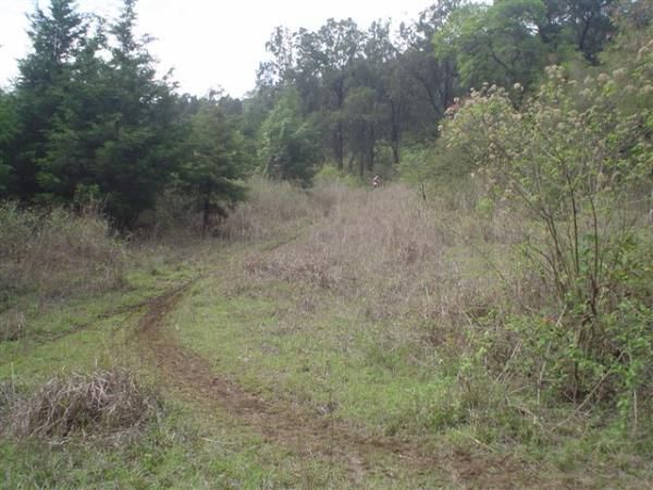 A grassy singletrack section of the Pan Am cross country course.