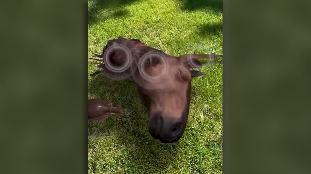 A 3D model of a horse&#039;s severed head appears to lie on a patch of grass.