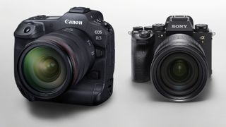 Canon EOS R3 vs Sony A1