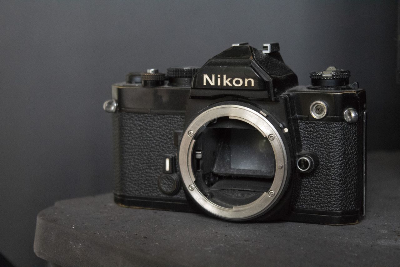 Image noise at ISO6400 is reasonably well controlled. Canon EOS 4000D with 18-55mm f/3.5-5.6, 1/80 at f/5.6, ISO6400