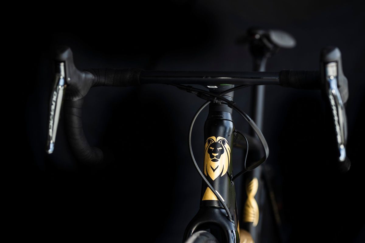 24 karat gold Canyon signed by Mathieu van der Poel