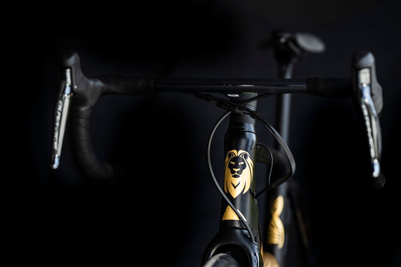 24 karat gold Canyon signed by Mathieu van der Poel