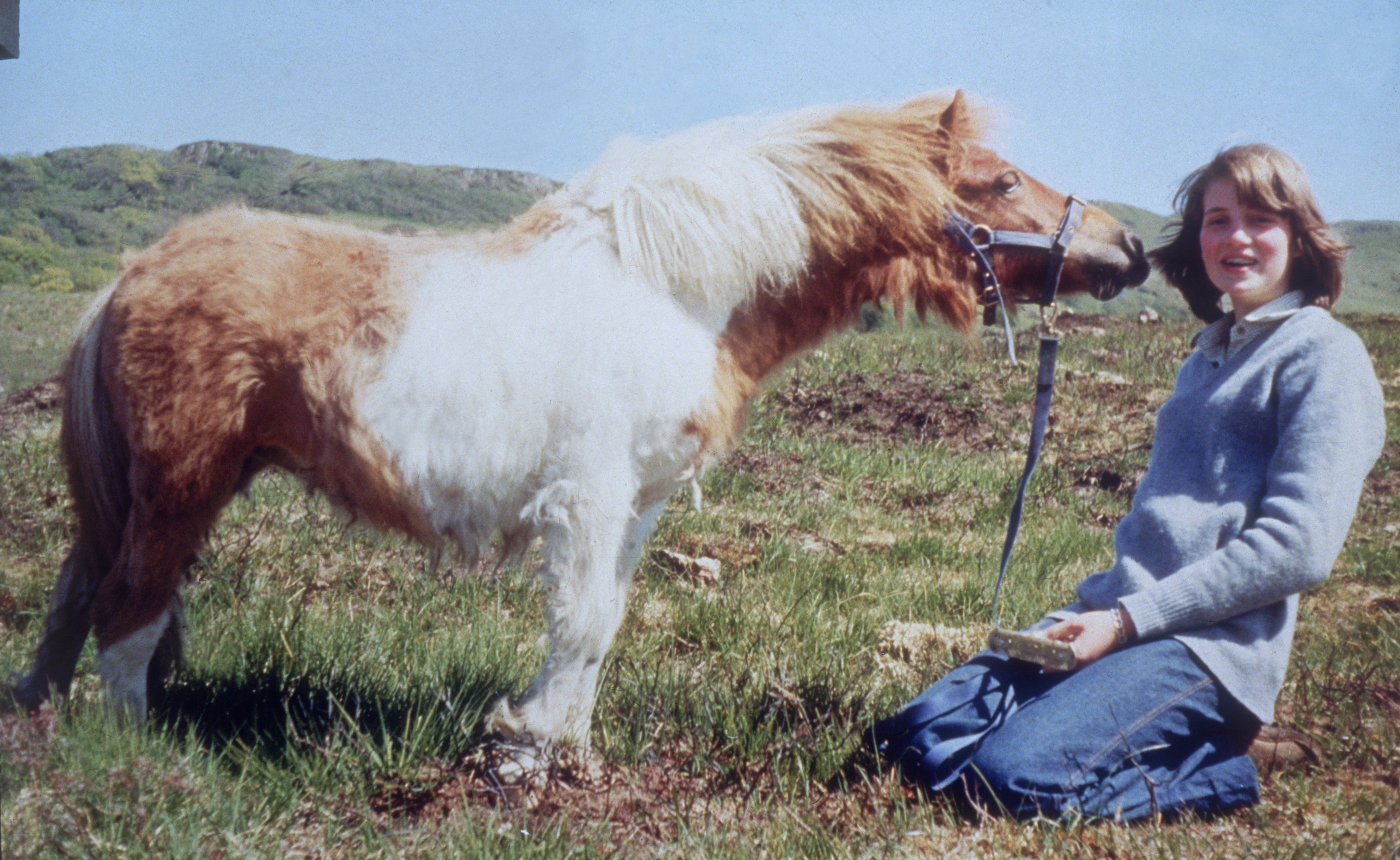 diana - with horse