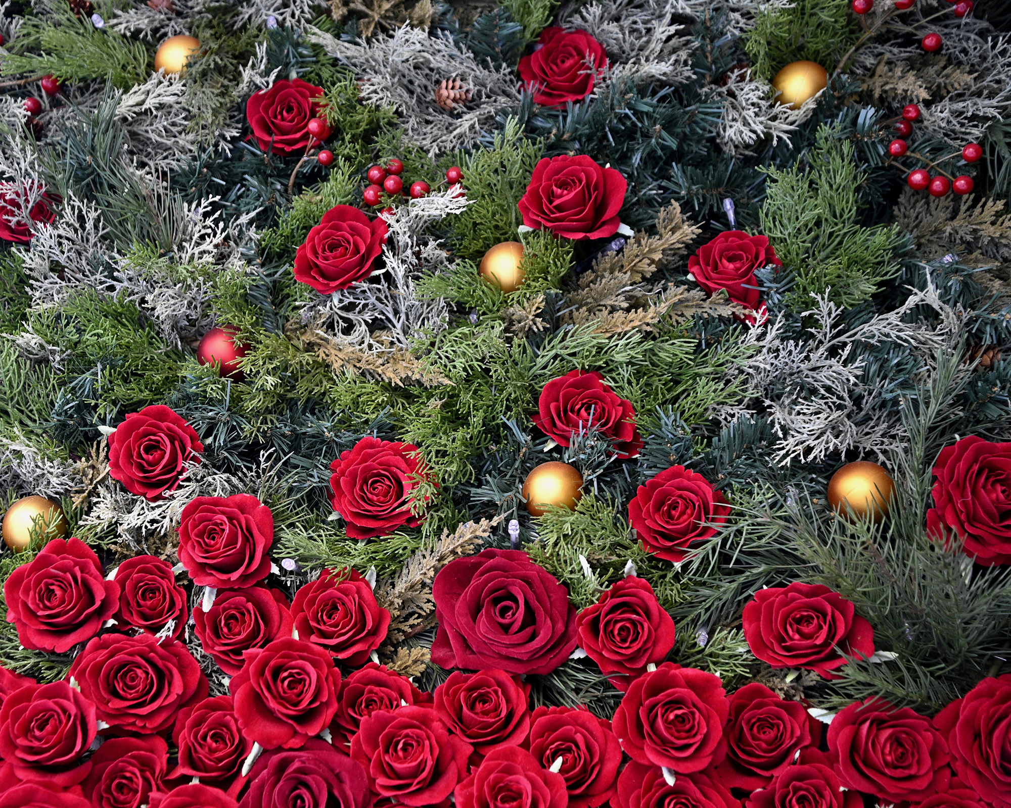Christmas tree decorated with red roses