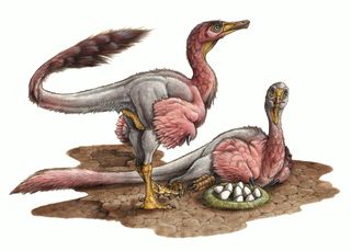 An artist's reconstruction of the newly discovered, and newly named, theropod dinosaur <em>Bonapartenykus ultimus</em>.