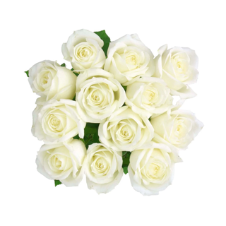 Bunch of white roses