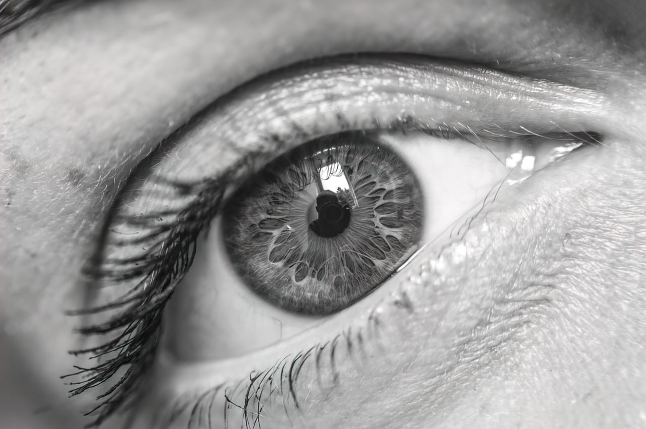 Four identical images of a human eye, showing the differences between upscaling modes
