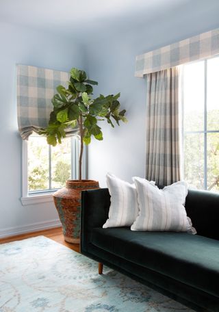 A living room with a teal sofa and light blue walls