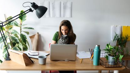 At home on sale desk lamps