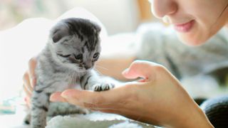 Close up of woman with kitten